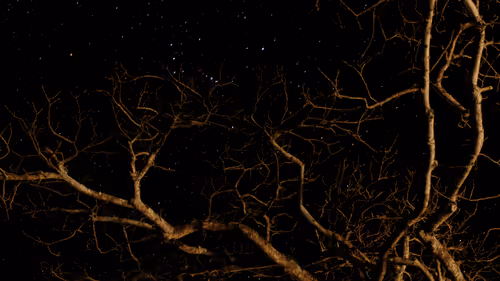 Item #102561797867931923211566826687344037495511031349577863816331597006952642641921 Media