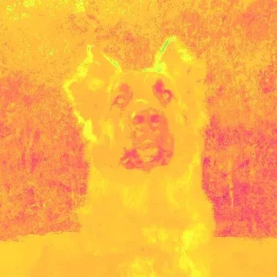 Item #47428341271170390733253974222101382154768714392453356712130950052406882205697 Media