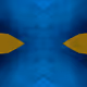 112694338187096677512520828741778326389672714337612276641250161982860397903873