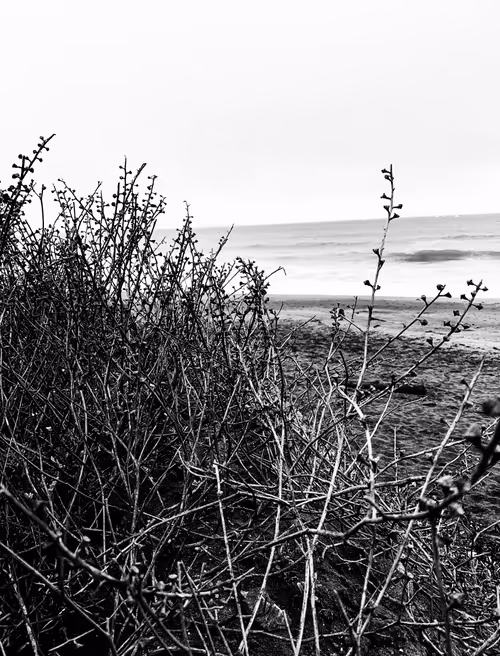 Item #92878865255826321536132190645537413346601958767864056232654340007876129456129 Media