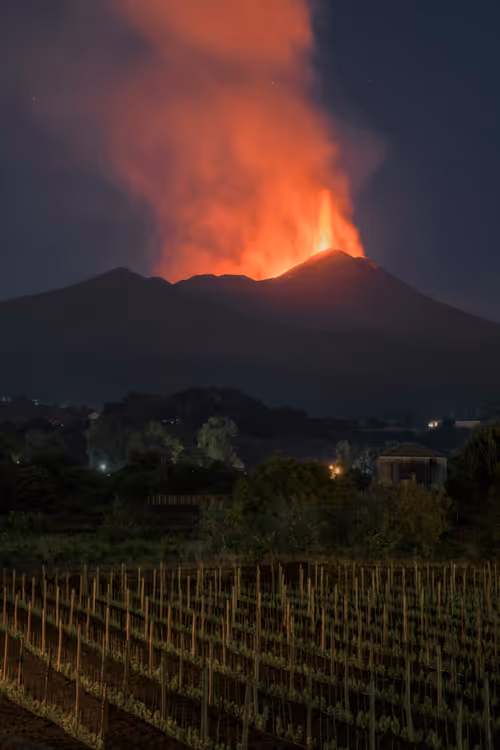 Item #29665505459776512063151611391641042533234332755845632920050768266360650727425 Media