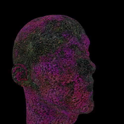 Item #110556815609861861519018320561274072288325493615109168515445116621302743957505 Media