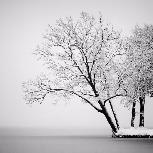 Item #101547054933813335062644925459541226737619958059144835271274916364123876884481 Media