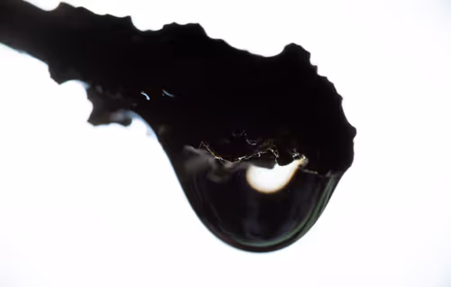 Item #59259199848972023857732761646304634361280699770576024418514166942152469250049 Media