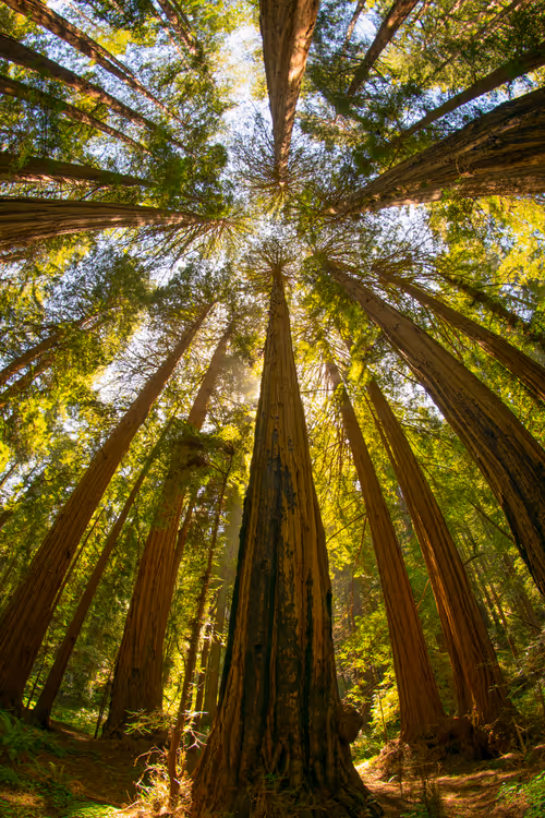 Item #82666956697073059935250471949023285858624698901330742305278420795396555014145 Media