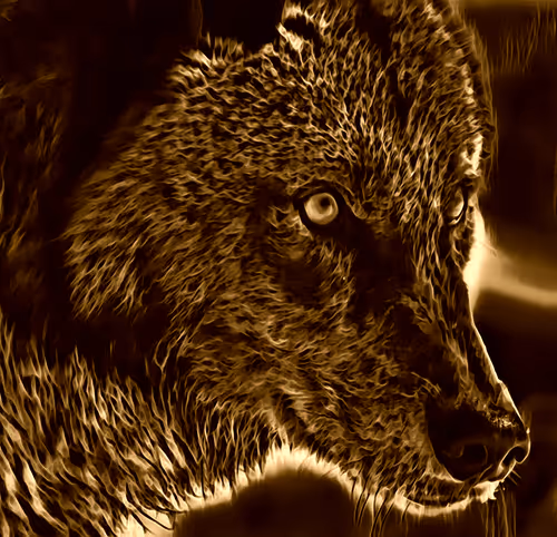 Item #22623297383426892917101335270761698949847758593200202890070986141223153041409 Media