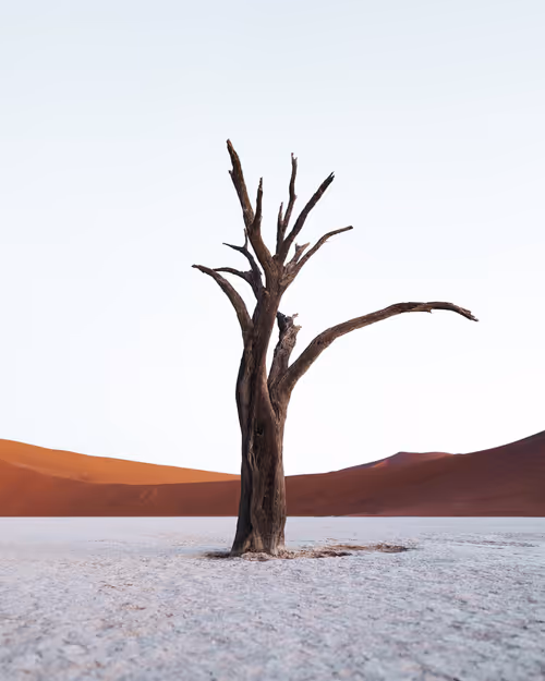 Item #86385672013831146465548650078662187187055141490040132723525304223744347078657 Media