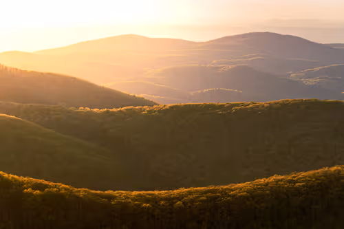 Item #27268559498061748325784621046965527840934976554079147599746578507840071139329 Media