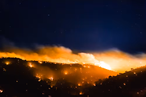 Item #95204431680649181601528738578851453896688564435428028381601595517330903793665 Media