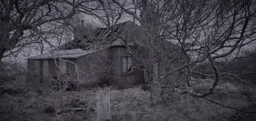 Item #13473500973687785898796463285955460631407349614781281766798596439836668723201 Media