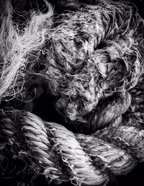 Item #13808566049018172029737959666096611307400355353841900688345406254413955203073 Media