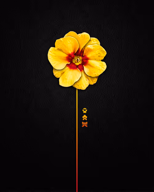 Item #39579845202103003613433969065529984939294887442875588777262424374786618556417 Media