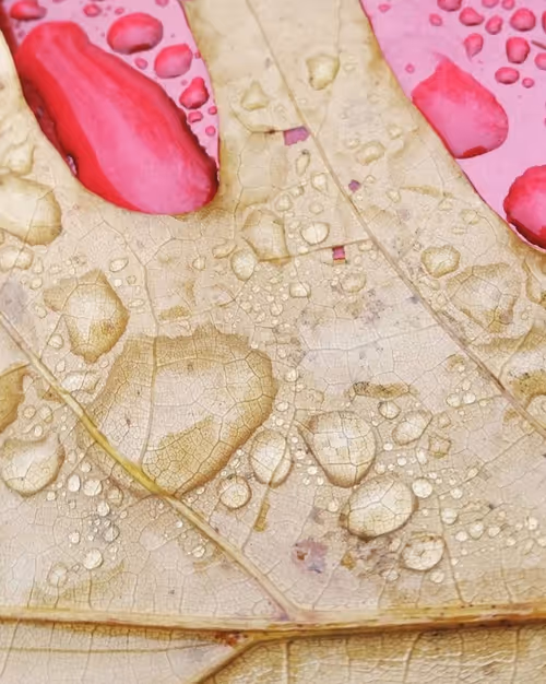 Item #35547100278351488731763920705704692290777172266042510105310327016987497070593 Media