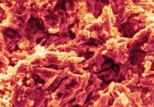 Item #115505927728344181025262329658899620468765138243295584093365708413293450756097 Media