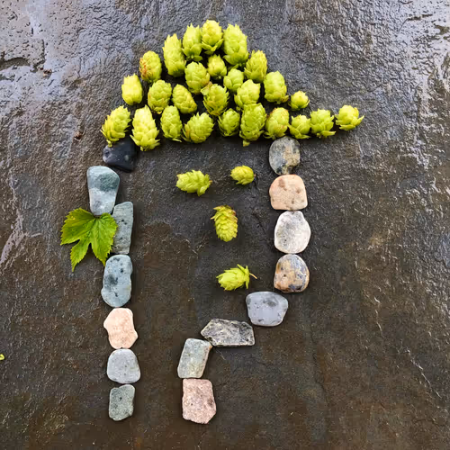 Item #98107617753721193587173935520703534334244090805083319737588344778789675335681 Media