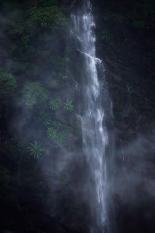 Item #21220469228534161722966740220047830052013954901573509815299023142418095538177 Media