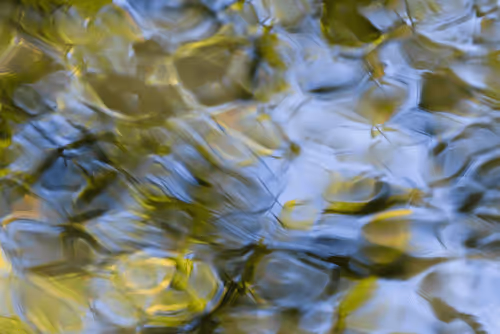 Item #81441334517361708208394031135700195474624799851237506988747108147017132539905 Media