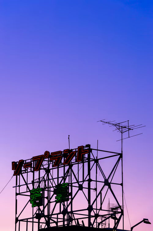 Item #69621890200610060160525318409719842078865320905189083870639293953814650945537 Media