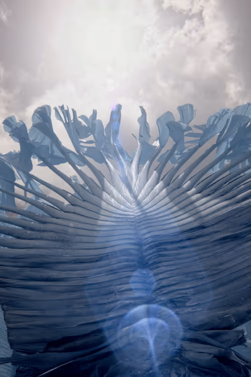 Item #84630877256389803822544637333020280854396826404545033634090050557542435651585 Media