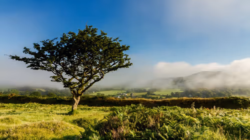 Item #76411818325877809330534104356755828183937072651950095241963461245292389597185 Media