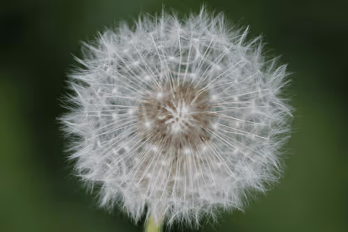 Item #51124555051901614330264480006545612592022390906904121289505624522826306289665 Media