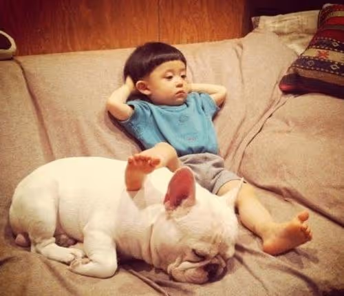 Item #103881525917261334913348892042604601237024331320613421827719552410960024043521 Media