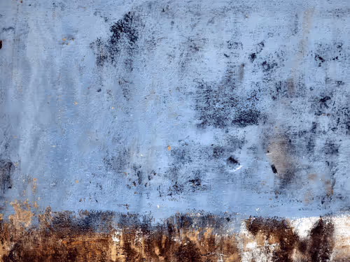 Item #77837778009088564188174628045169397065653229955612462896383264982420194066433 Media