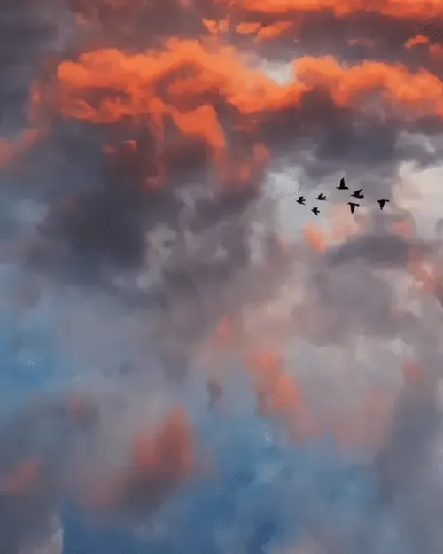 Item #69017446822111679045045995670166594693570264326858051534012552102857328820225 Media