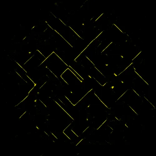 Item #51929734946411346289540790635765095060363125039145709683616697188143543091201 Media