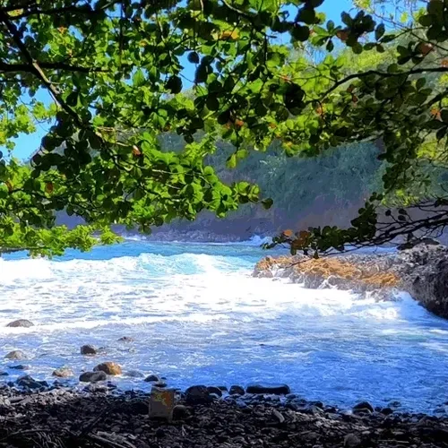 Item #19755943560703832549694930259889174281342606690861395808005517933245292871681 Media