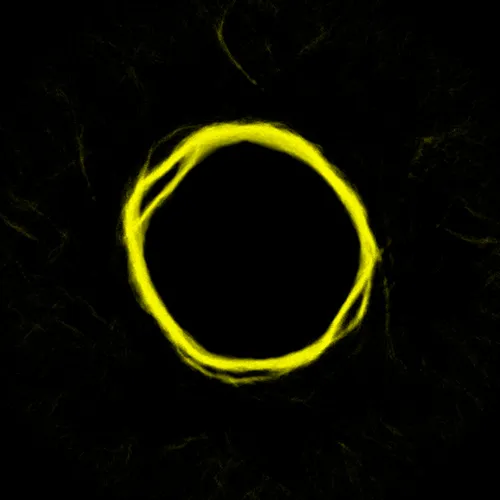 Item #51929734946411346289540790635765095060363125039145709683616697084789450080257 Media