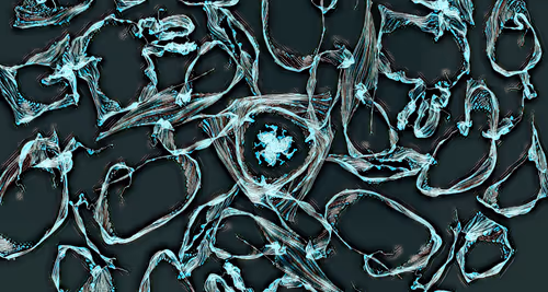 Item #53038436591932579343586172736499089180511311350926828846712654429541256658945 Media