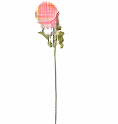 Item #34571563386459127761261740546366153221129147098234432782485651008257309802497 Media