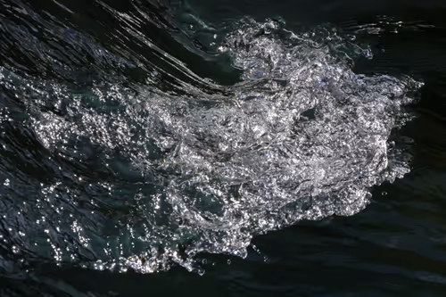 Item #81441334517361708208394031135700195474624799851237506988747108040364504645633 Media