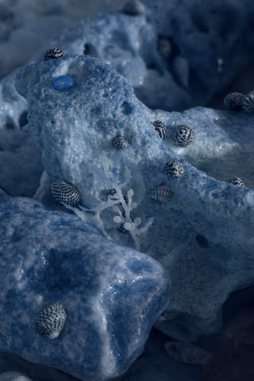 Item #84630877256389803822544637333020280854396826404545033634090050553144389140481 Media