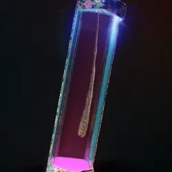 47706624671672796925279676176814738756292518966702467713381473682375793704961
