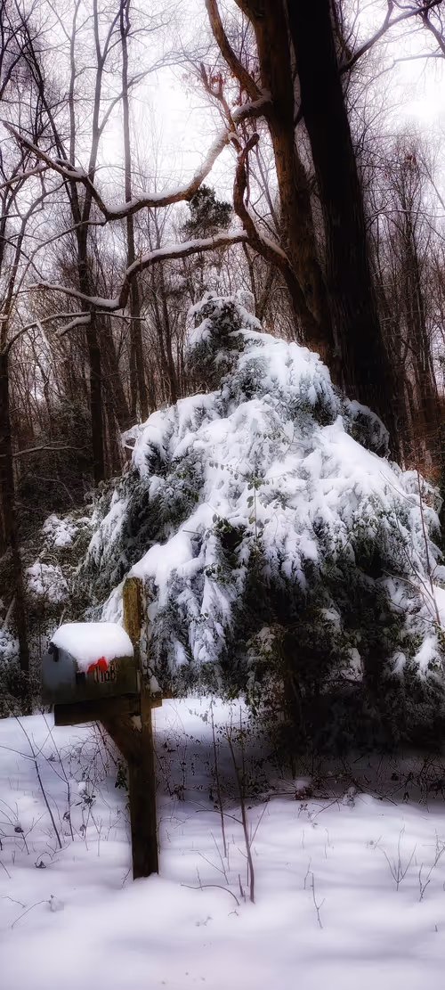 Item #7142574194470404243392590672179659391968725900228458481778768104539537014785 Media