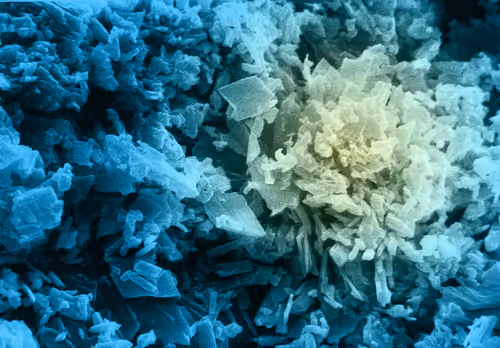 Item #115505927728344181025262329658899620468765138243295584093365708435283683311617 Media