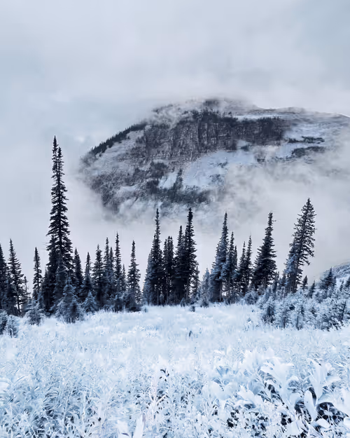 Item #62001089897654043678582796294711651900724303774679820814799839857662482186241 Media