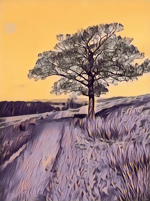 Item #90843724942320067087991951012137122671469692331800068523007455416256328368129 Media