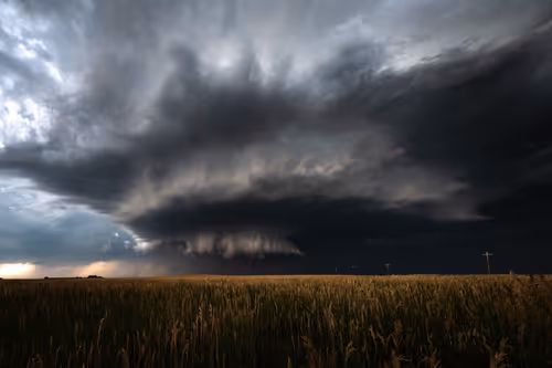 Item #36388733735061083786475834014155955711748965200924391160511104849426482462721 Media