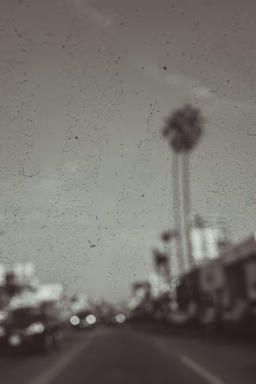 Item #35557780727049604459658880725917592814256363748111026780455796848663568842753 Media