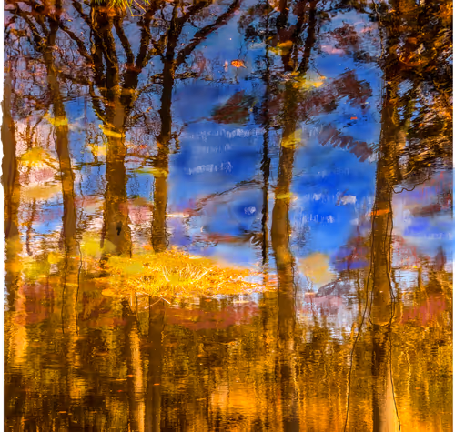 Item #91642206728278766191666267238193115180251034761865766936360919961064293007361 Media