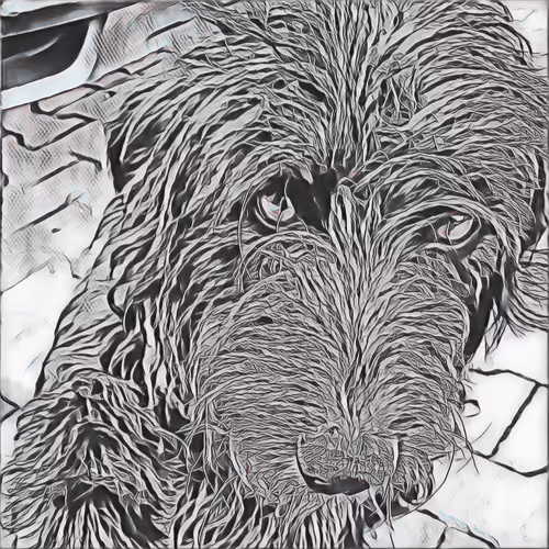 Item #51313302132644519913343847646347811445510524411913136629935893360112241213441 Media