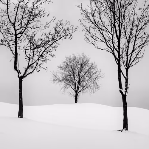 Item #101547054933813335062644925459541226737619958059144835271274916361924853628929 Media