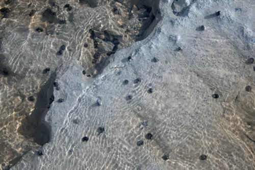 Item #84630877256389803822544637333020280854396826404545033634090050558641947279361 Media