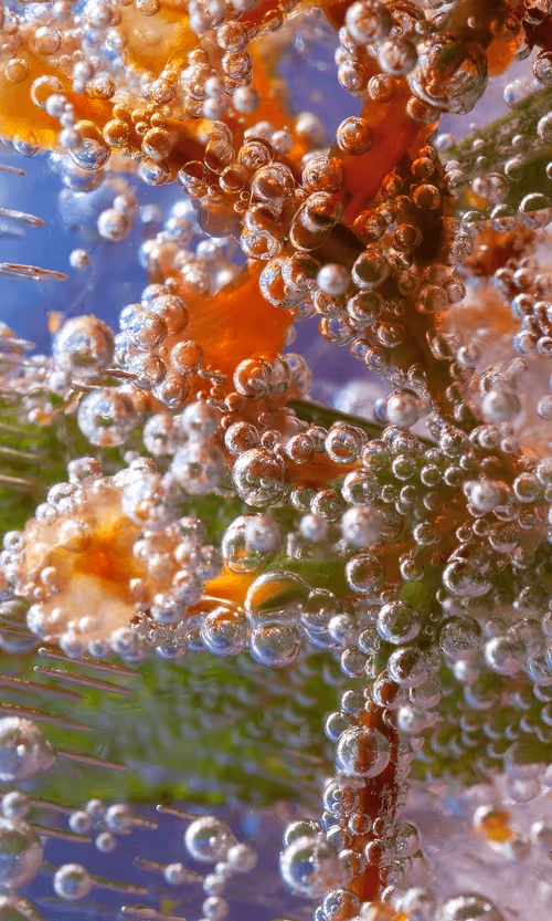 Item #79509767326221398528937893710732756249241638195724980220282277378432983629825 Media