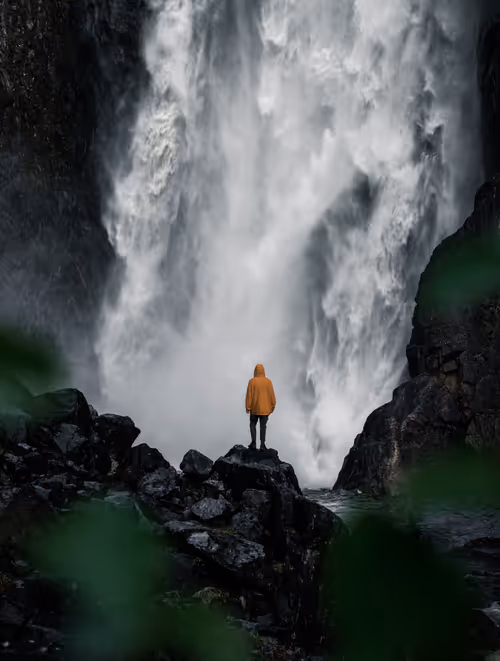 Item #72651886882207206539966383415555664124556444317113885039601297090850177679361 Media