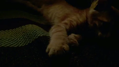 Item #70884615478882587810287057927114388334968207016207359440864296126922843226113 Media