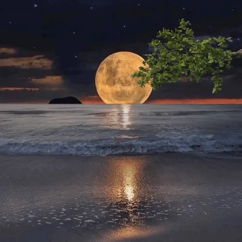 Item #27773729504470941925081383766131398068602907755068102339940005611404986941441 Media